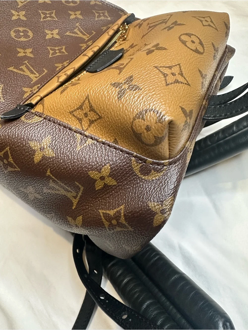 Louis Vuitton Palm Springs PM Backpack